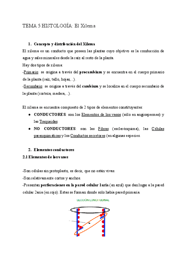 Miniatura del documento TEMA-5-HISTOLOGIA.pdf