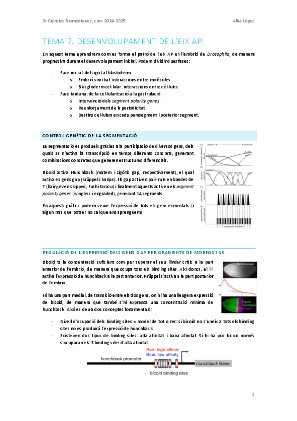 Miniatura del documento Tema-7.-Desenvolupament-de-leix-AP.pdf