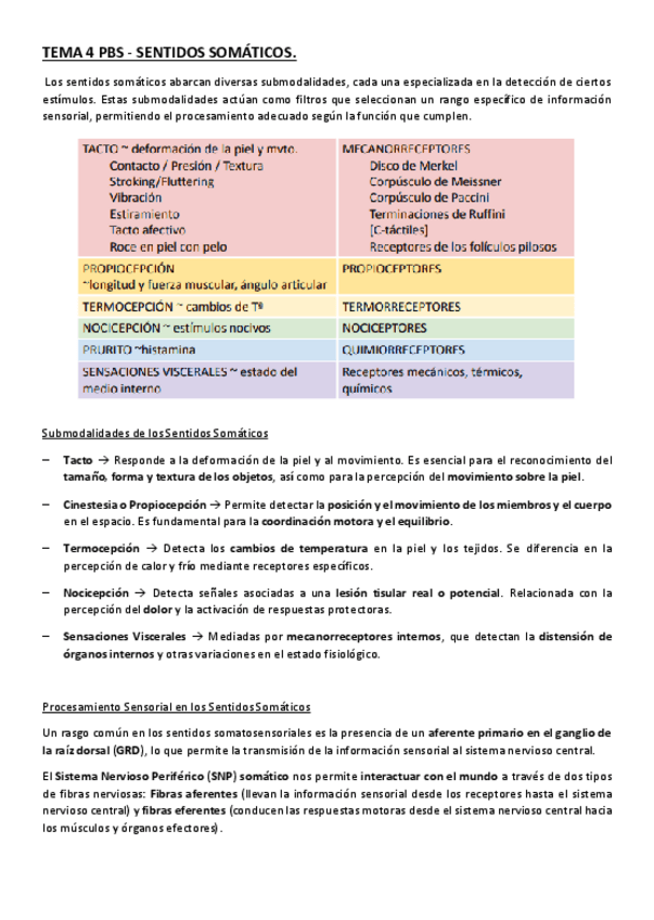 Miniatura del documento TEMA-4-PBS-SENTIDOS-SOMATICOS.pdf