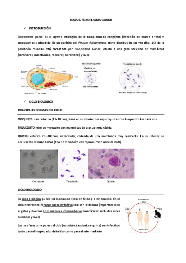 Miniatura del documento PARA9.-TOXOPLASMA-GONDII.pdf
