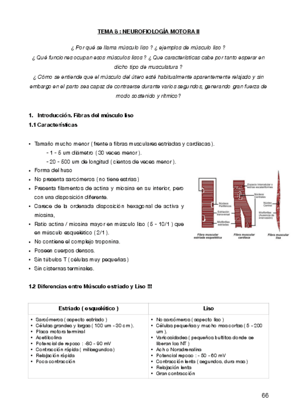 Miniatura del documento T8-T13.pdf