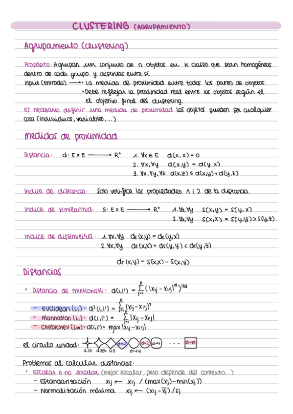 Miniatura del documento Clustering.pdf