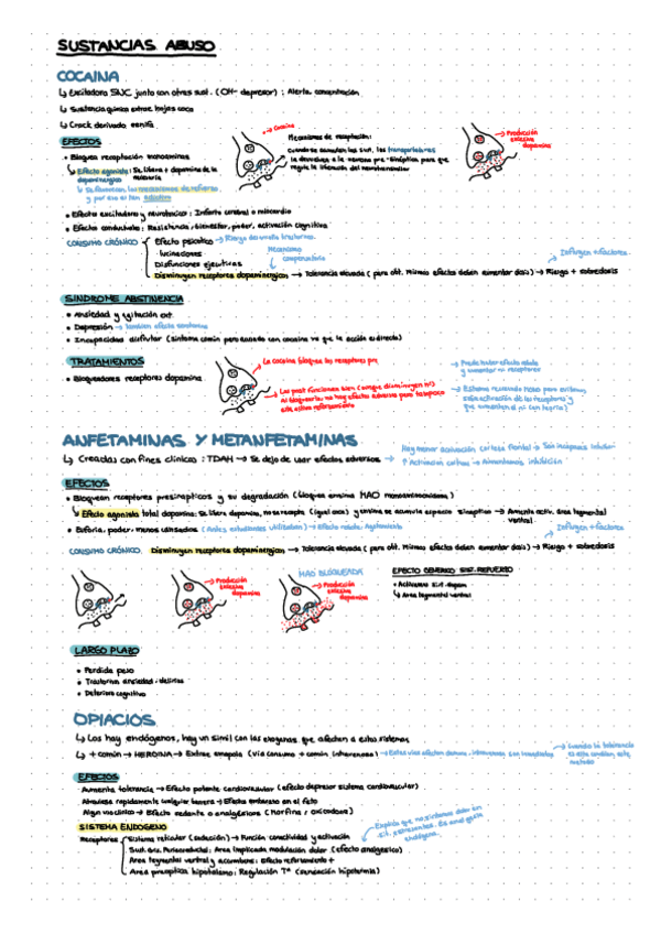 Miniatura del documento Psicobiologia-II_TEMA 3.pdf