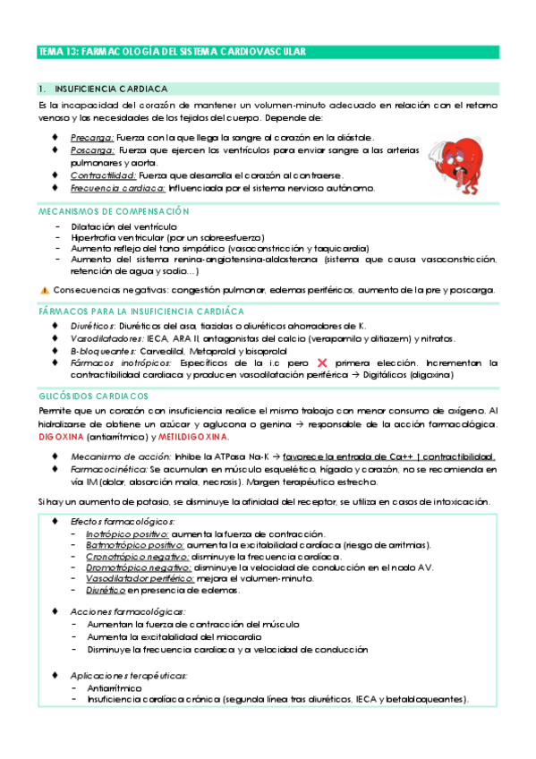 Miniatura del documento TEMA-13-farmaa.pdf