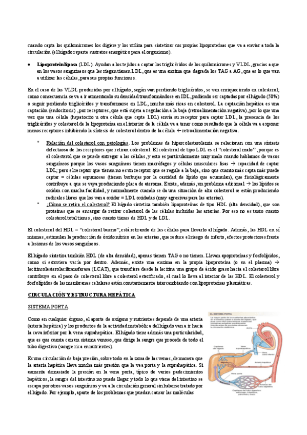 Miniatura del documento fisio-II-tema-4-2.pdf