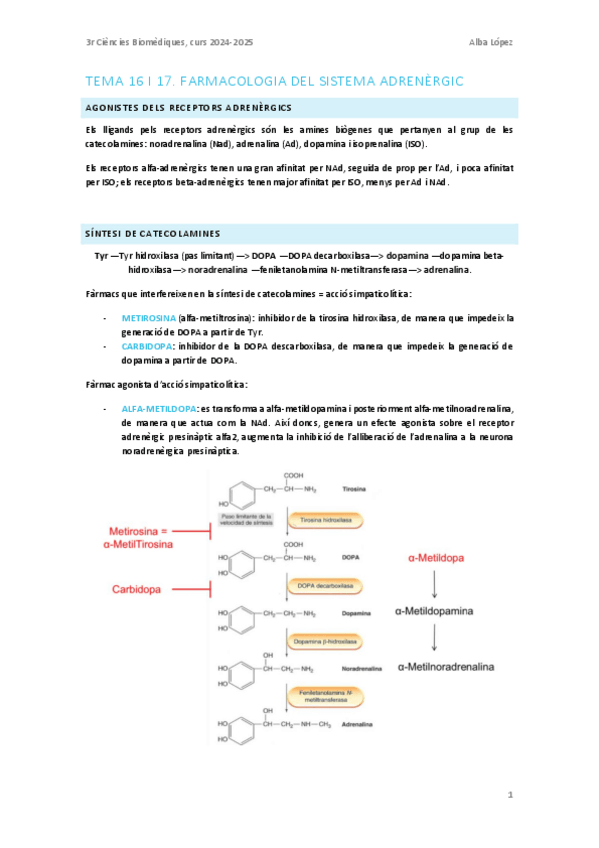 Miniatura del documento Tema-16-i-17.-Sistema-adrenergic.pdf