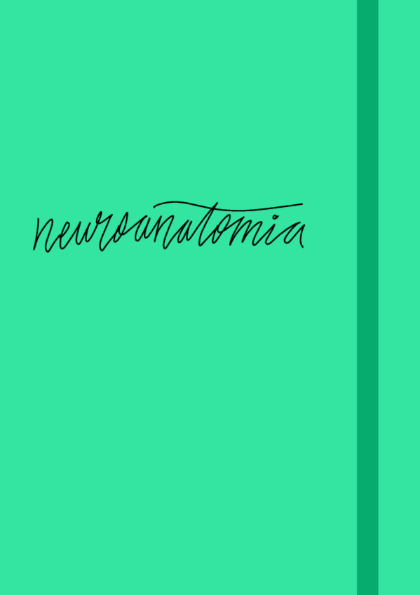 Miniatura del documento Resum-Esquemes-T1-T6-Neuroanatomia.pdf