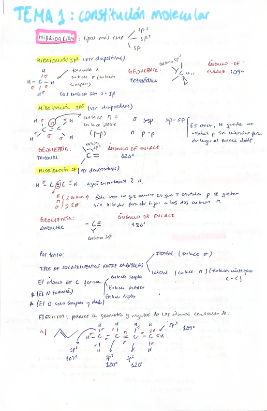Miniatura del documento TEMA-1-RESUMEN.pdf