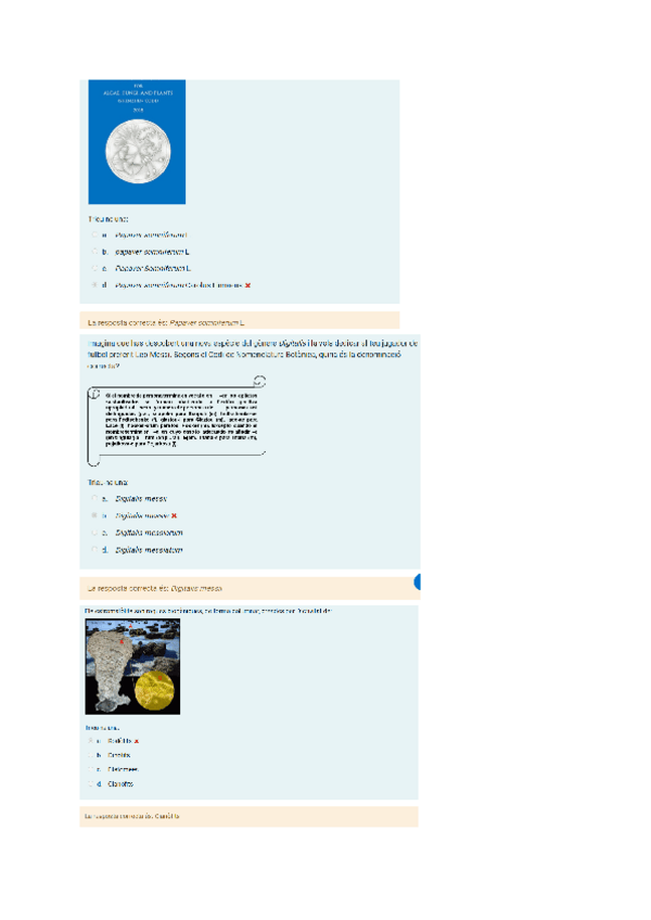 Miniatura del documento TEST-questionari-Generalitats-i-Algues.pdf