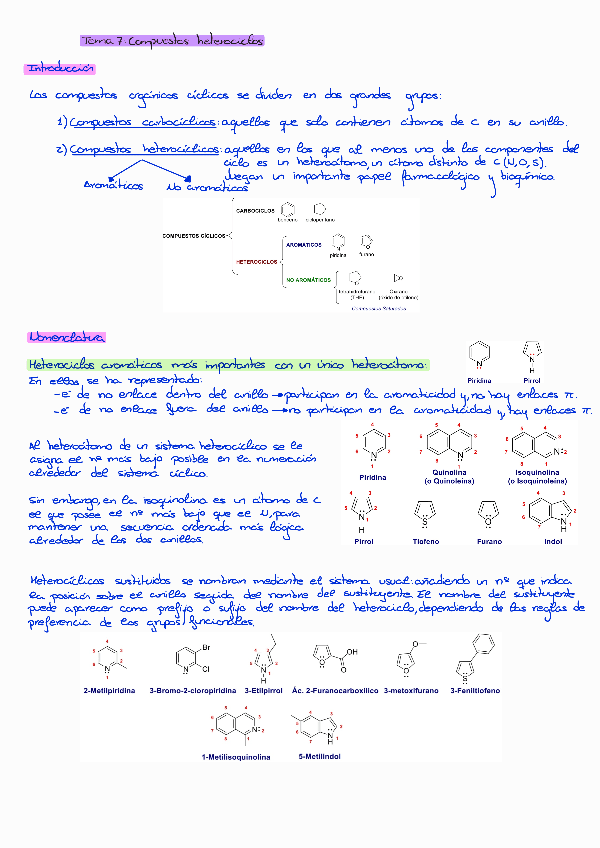 Miniatura del documento Tema-7-Quimica-Organica.pdf