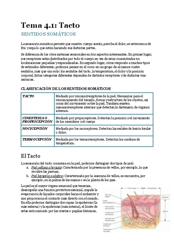 Miniatura del documento Tema-4.1-El-tacto-Sentidos-somaticos.pdf.pdf