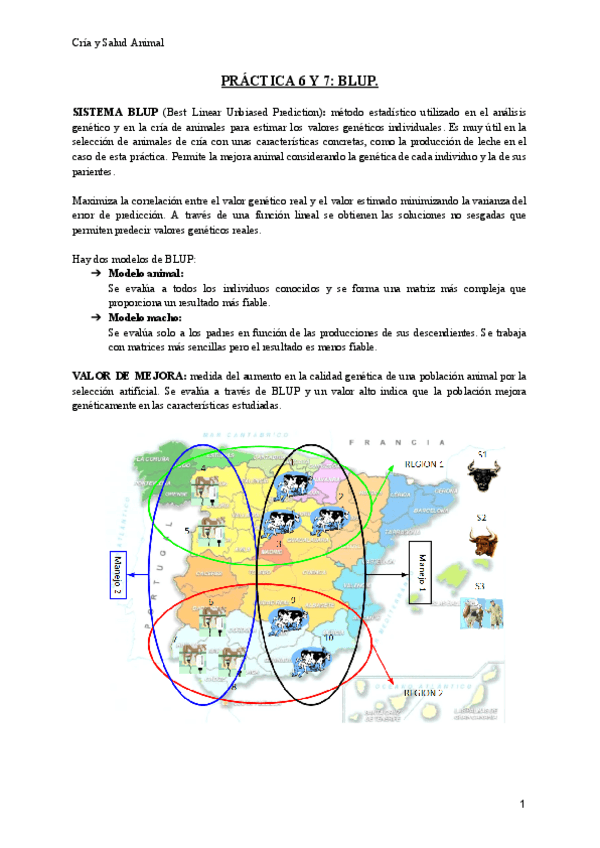 Miniatura del documento Practica-BLUP.pdf