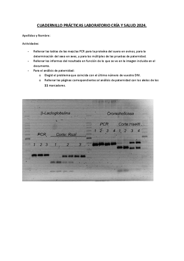 Miniatura del documento Practicas-Laboratorio-24.pdf