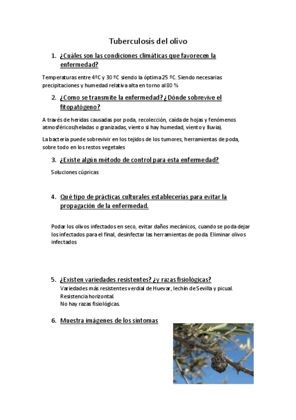 Miniatura del documento Tuberculosis-del-olivo.pdf