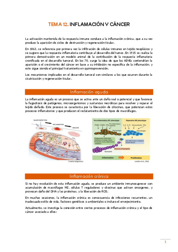 Miniatura del documento TEMA-12-Pato.pdf