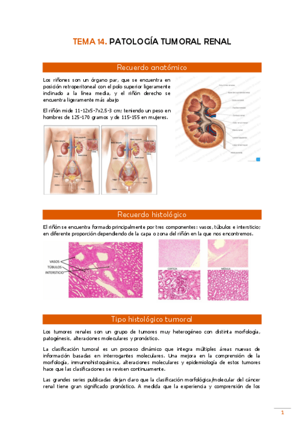 Miniatura del documento TEMA-14-Pato.pdf
