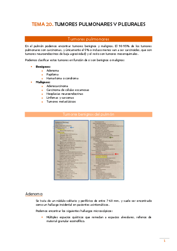 Miniatura del documento TEMA-20-Pato.pdf