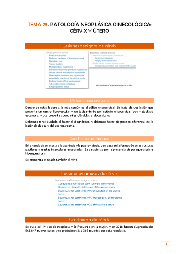 Miniatura del documento TEMA-23-Pato.pdf