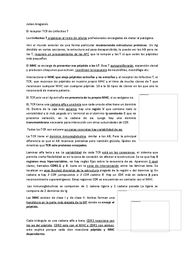Miniatura del documento Julian-Aragones.pdf
