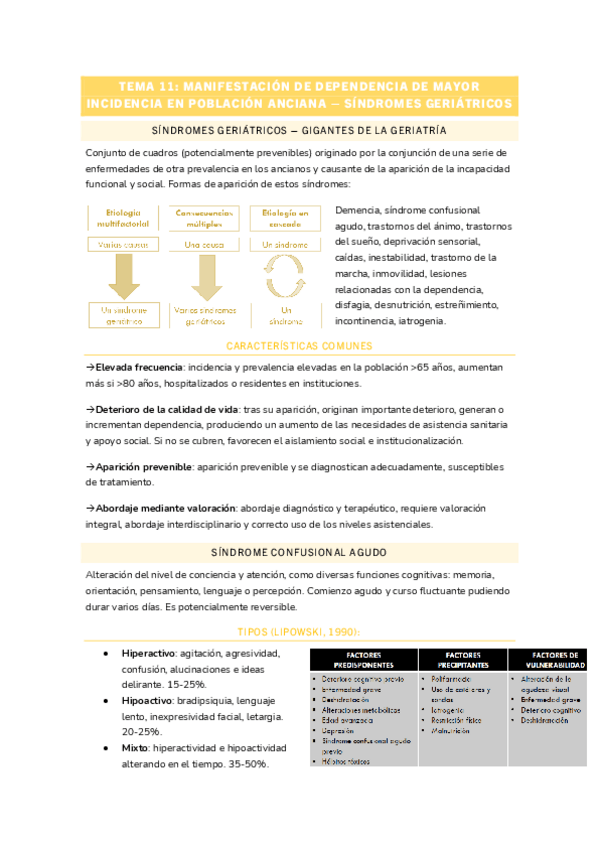 Miniatura del documento T11-GERONTO.pdf