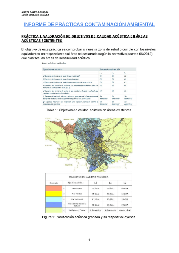 Miniatura del documento Informe-acustica.pdf