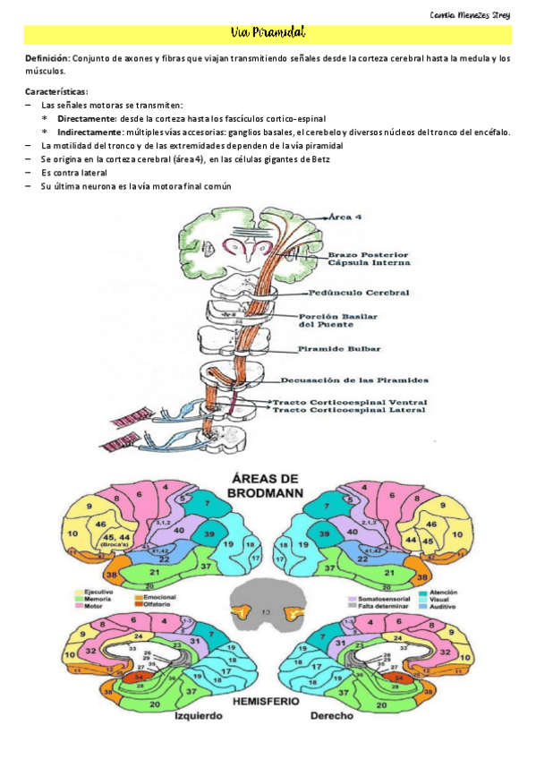 Miniatura del documento Neuro-3-Via-Piramidal-y-Extrapiramidal.pdf