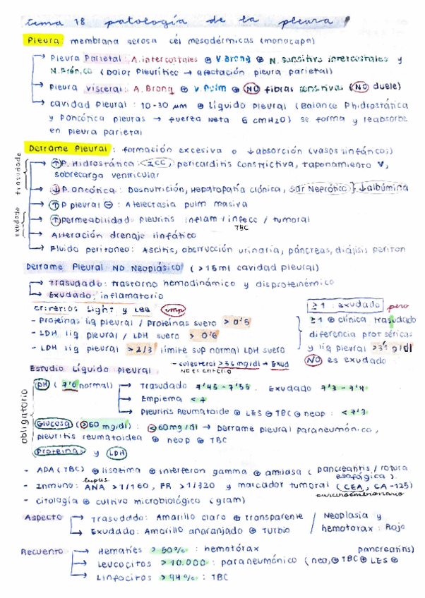 Miniatura del documento Resumen-Respi-Parte-2-Teoria--Semis-35-paginas.pdf