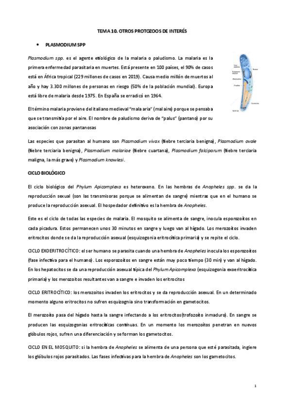 Miniatura del documento 10.-OTROS-PROTOZOOS-DE-INTERES.pdf