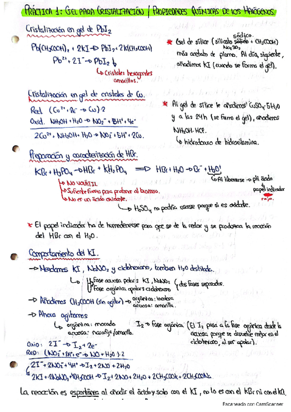 Miniatura del documento PRACTICAS-QUIMICA-INORGANICA.pdf