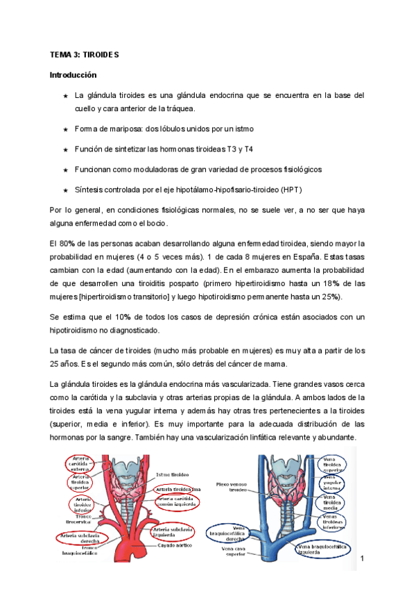 Miniatura del documento FISIO-TEMA-3-TIROIDES.pdf