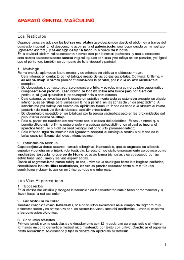 Miniatura del documento Ap-genital-masculino.pdf