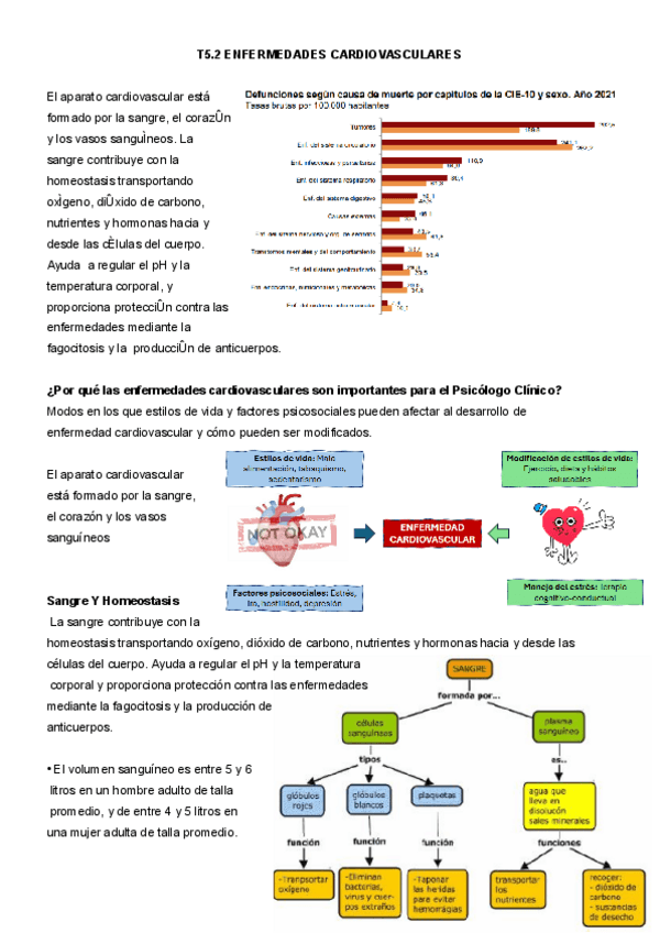 Miniatura del documento APUNTES-COMPLETOS-T5.2-TTRNOS-CARDIOVASCULARES-JOSE-MANUEL.pdf