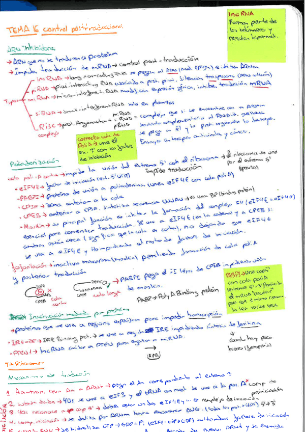 Miniatura del documento Resumen-Biologia-Celular.pdf