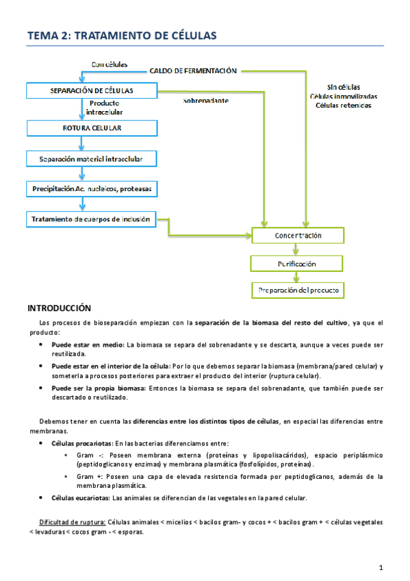 Miniatura del documento OS - Tema 2.pdf