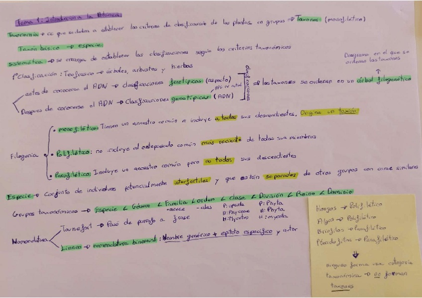 Miniatura del documento Esquemas-primer-parcial-2025.pdf