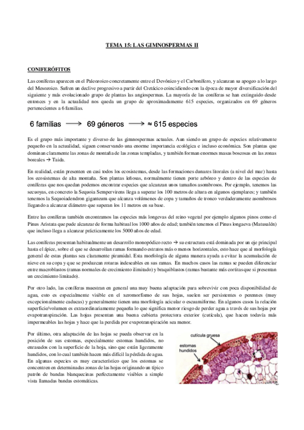 Miniatura del documento TEMA-15-BOTANICA.pdf