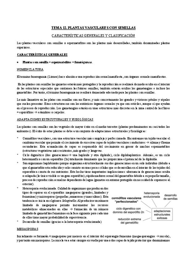 Miniatura del documento TEMA-12-botanica.pdf