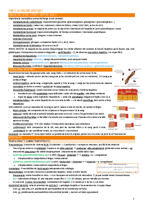 Miniatura del documento Bioquim-Clinica-TEMA-3-Fetge.pdf