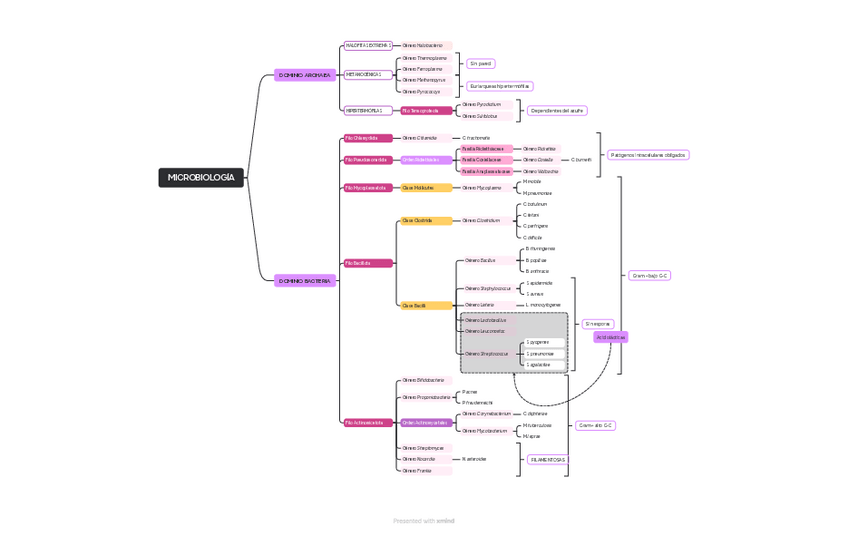 Miniatura del documento Esquema-parcial-1.pdf