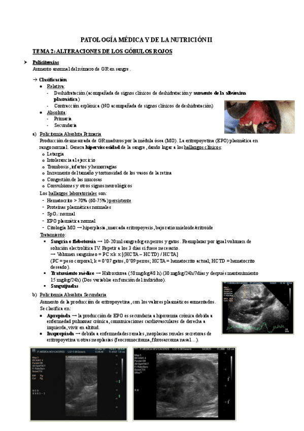 Miniatura del documento 1o-cuestionario--seminarios.pdf