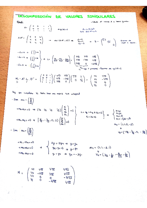 Miniatura del documento valores singulares.pdf