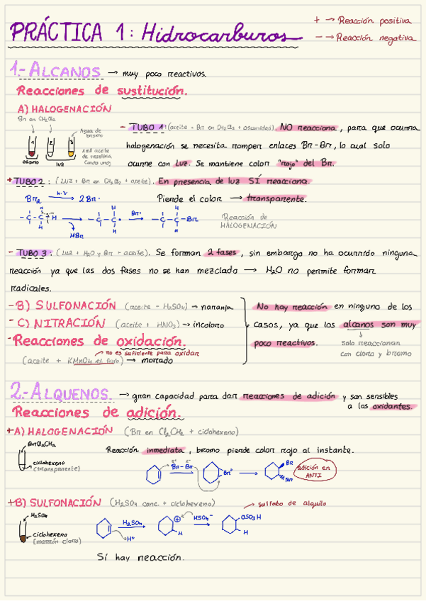 Miniatura del documento Practicas-organica-2425.pdf