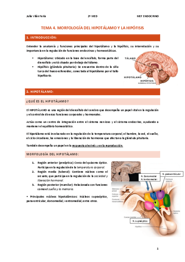 Miniatura del documento T.4-ANATOMIA-Hipotalamo-hipofisis.pdf