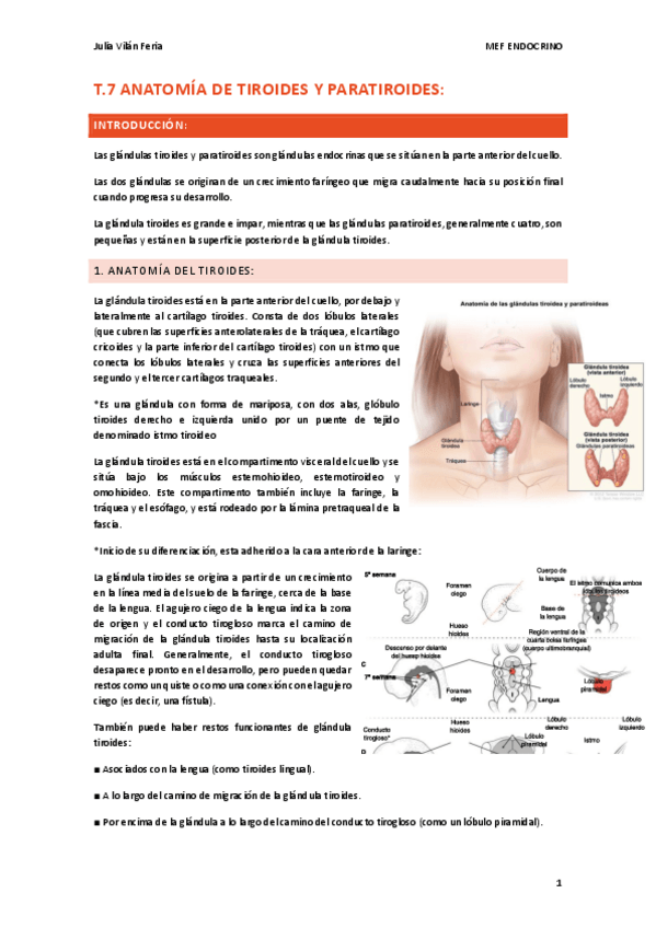 Miniatura del documento T.7-ENDOCRINO-tiroides-y-paratiroides.pdf