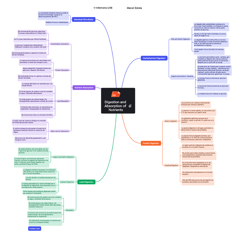 Miniatura del documento Digestio-i-absorcio-digestiva-INFRM.pdf