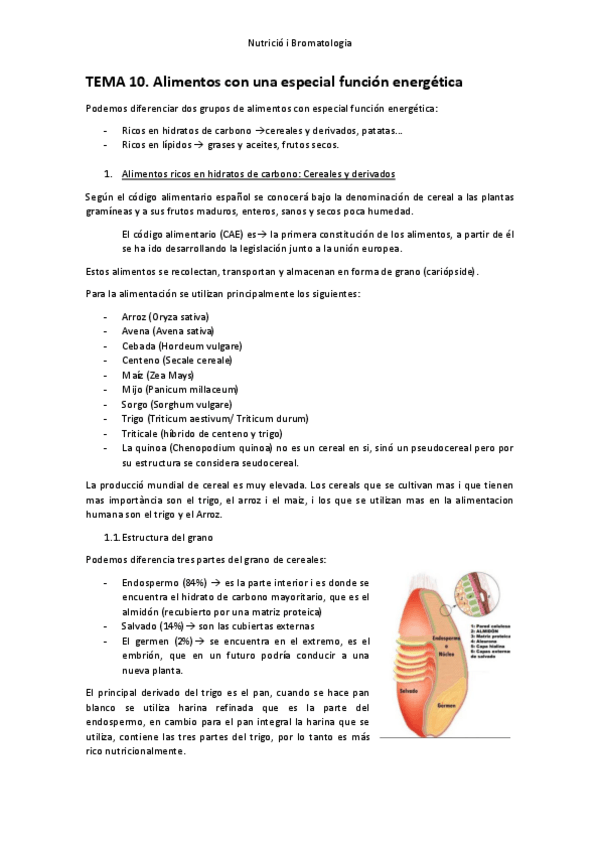 Miniatura del documento APUNTS-nutricio-i-bromatologia-T10-T16.pdf