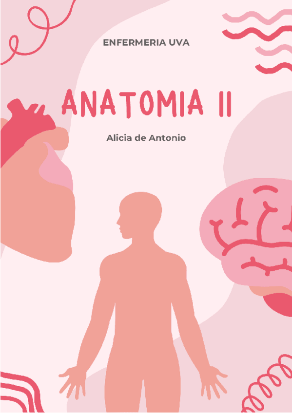 Miniatura del documento APUNTES-ANATOMIA-II.pdf