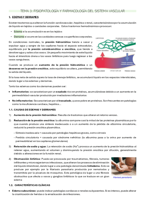 Miniatura del documento TEMA-3-FISOPATO.pdf