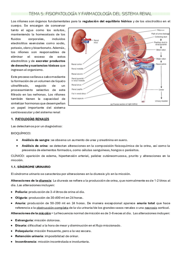 Miniatura del documento TEMA-5-FISOPATO.pdf
