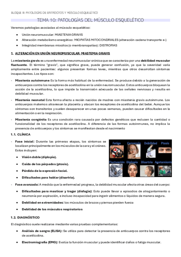 Miniatura del documento TEMA-10-BQ.pdf